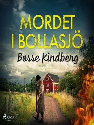 cover image of Mordet i Bollasjö